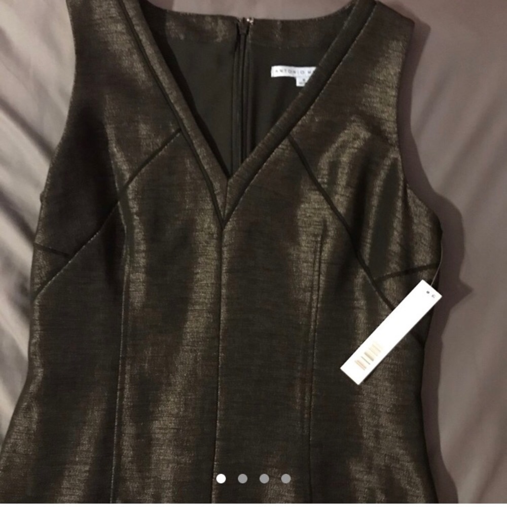 NWT Antonio Melani formal dress!